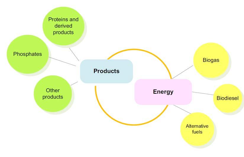 WHY FOCUS ON THE BIOECONOMY The biobased economy cuts across sectors and industries and includes production of renewable biological resources as well as the use of sidestreams and rest products to
