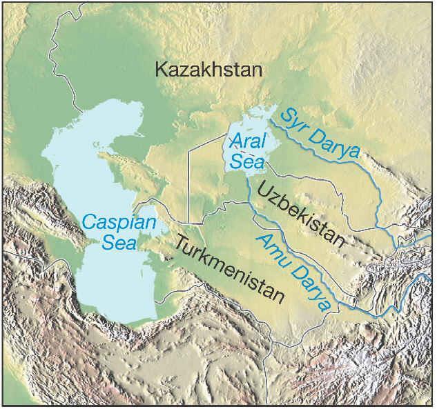 Water diversion for irrigation has caused sea to become too saline Aral Sea USSR decided in the 1960s to divert those rivers
