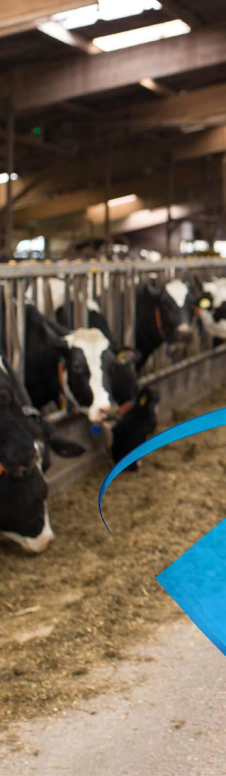 IT ALL REVOLVES AROUND YOU We have built DeLaval DelPro and its suite of sensors and applications to give you more control than ever before, by surrounding you with faster, more accurate access to