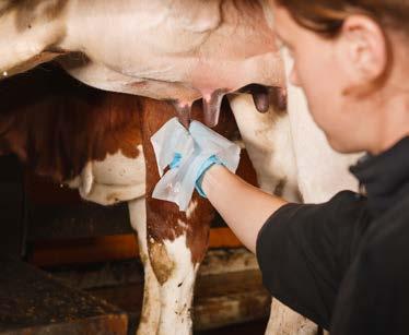 Automatically Divert Milk If you are using a DeLaval milking system, DelPro uses the conductivity and blood level data recorded to measure milk quality.