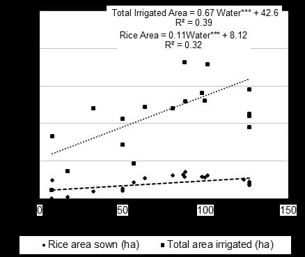 Structural Adjustment at Rice Farms Water