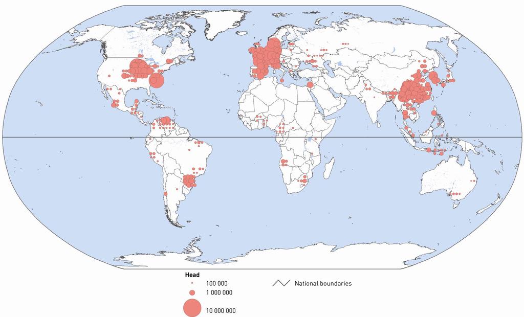 Globally-900,000,000 hogs Estimated distribution of