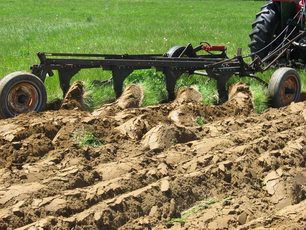 Full-field Tillage in Vegetable Production Moldboard Plow Inverts soil up and down.