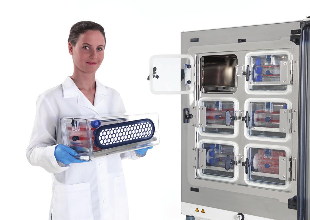 Individual Cell Lockers serve to quarantine cell types or different projects, offering enhanced protection for valuable cultures. Each Cell Locker has dual 0.