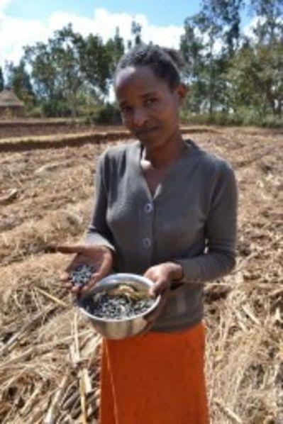 Conserving strength Canadian-backed projects assist Ethiopian communities in restoring agricultural stability By: John Longhurst Posted: 04/1/2017 3:00 AM Comments: 2 Last Modified: 04/2/2017 8:32 AM