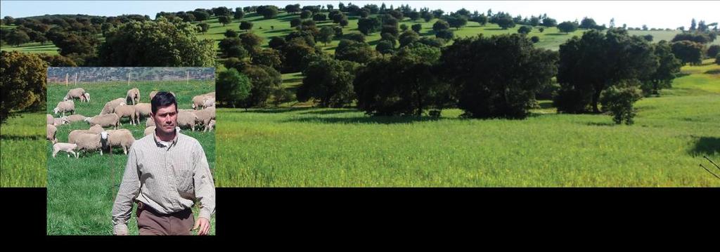 Example 3: Development of agri-environmental schemes in Spain, Extremadura photo: carnedepasto.