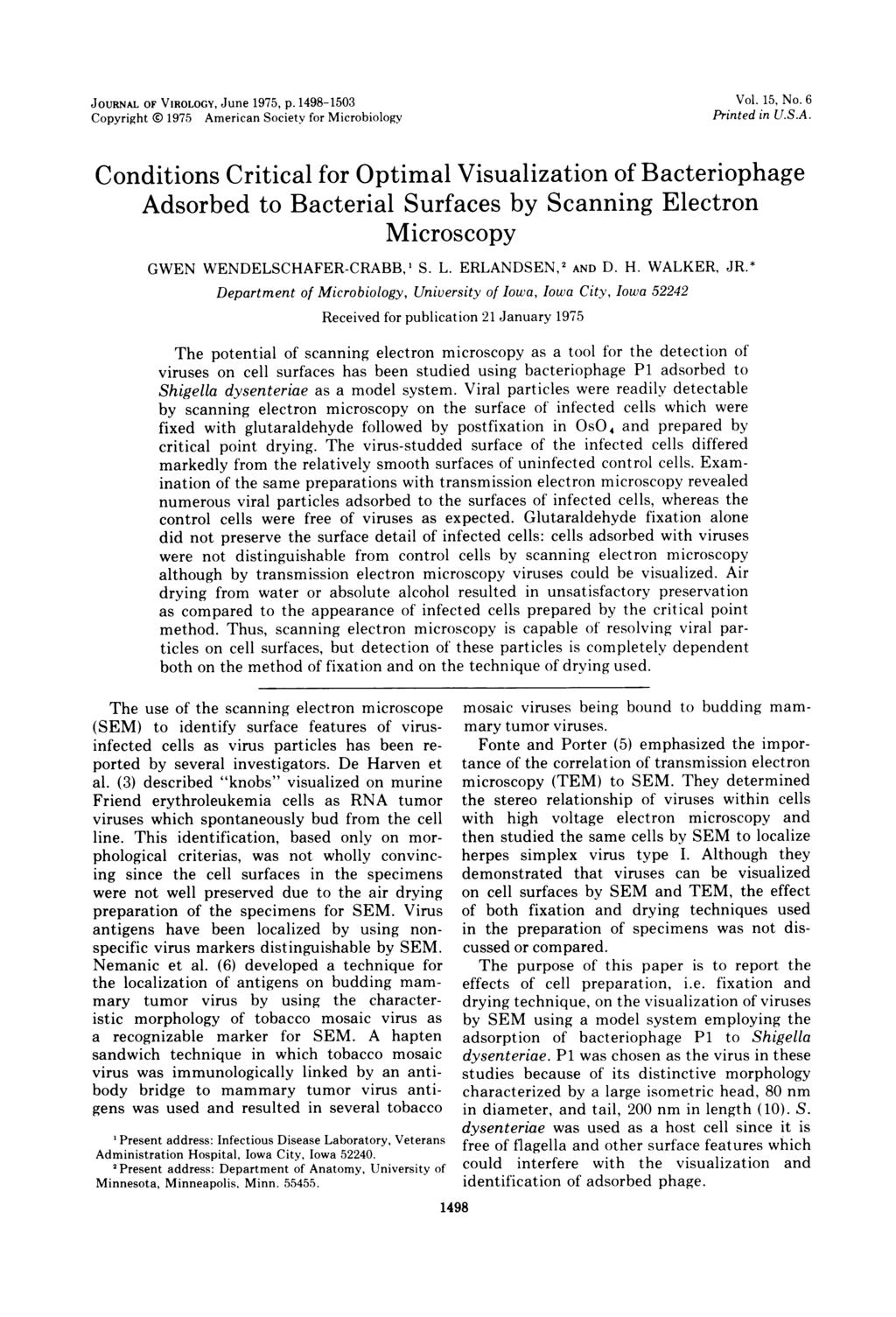 JOURNAL OF VIROLOGY, June 1975, p. 1498-1503 Copyright 0 1975 American Society for Microbiology Vol. 15, No. 6 Printed in U.S.A. Conditions Critical for Optimal Visualization of Bacteriophage Adsorbed to Bacterial Surfaces by Scanning Electron Microscopy GWEN WENDELSCHAFER-CRABB,1 S.