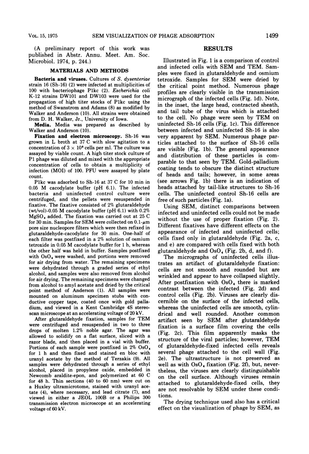VOL. 15, 1975 SEM VISUALIZATION OF PHAGE ADSORPTION 1499 (A preliminary report of this work was published in Abstr. Annu. Meet. Am. Soc. Microbiol. 1974, p. 244.