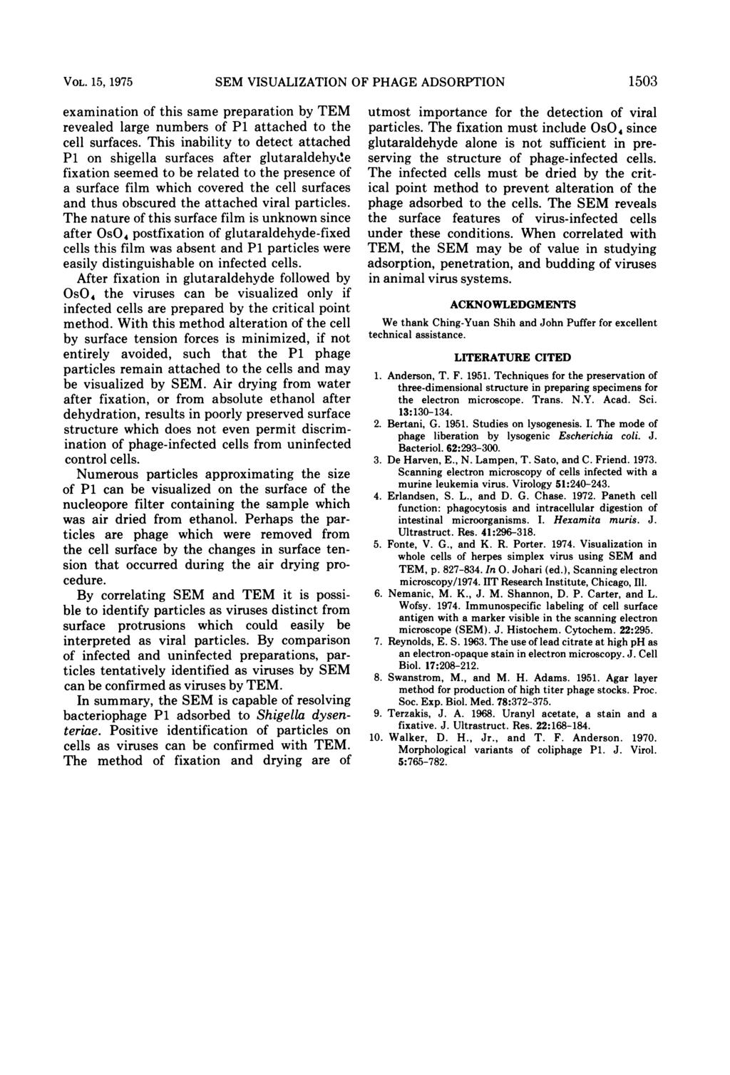 VOL. 15, 1975 SEM VISUALIZATION OF PHAGE ADSORPTION 1503 examination of this same preparation by TEM revealed large numbers of P1 attached to the cell surfaces.
