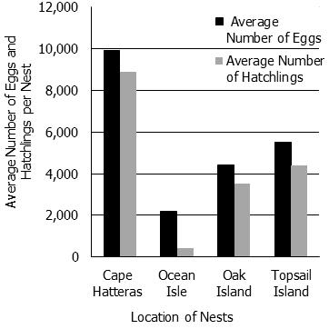 Question #20 Study the bar graph that shows the number of sea turtle nests observed along North arolina s coast during a hatching season.