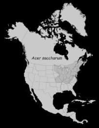 (Dis)Assembly of the Great Lakes Forests The Questions Pleistocene placement of the forests - where did they hang out Holocene migrations - how and when did they