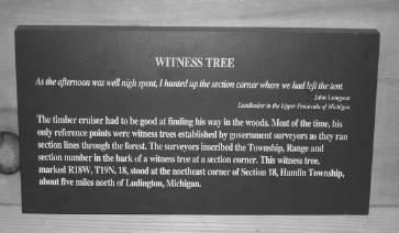 How do   Shown here is such a Witness Tree from the NE corner of