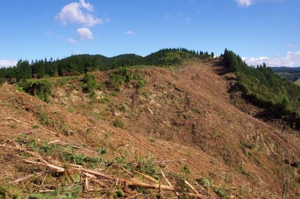 There is a high likelihood of slope failure, and the amount of cut-over slash was reduced in the high-risk areas of the slope.