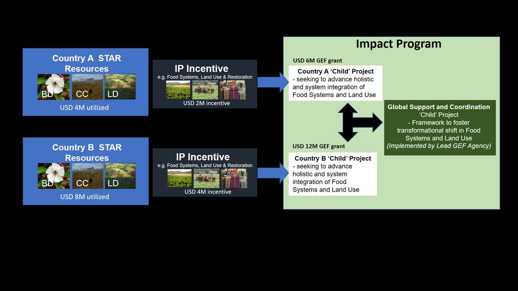 The Incentive: Resource Allocation to Impact Programs Resources (million $)