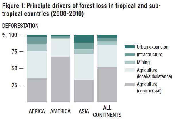 Causes of Deforestation Food systems 1/4 of GHG emission Forests