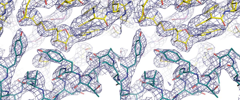 Supplementary Figures Figure S1: A stereoview of a weighted 2Fo Fc electron density map of the CcbJ SAH complex at a contour level of 1.5σ (corresponding to 0.