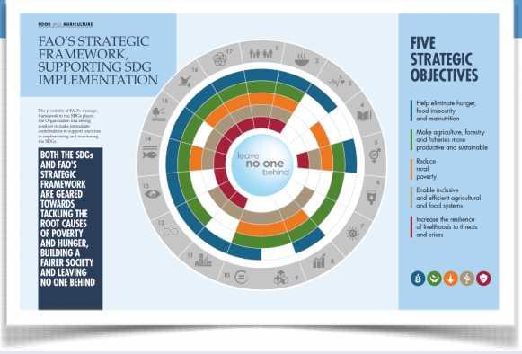 5 SOs / 17 SDGs FAO s Strategic Framework and the SDGs Contributes to SDG 1, 2, 5, 9 and