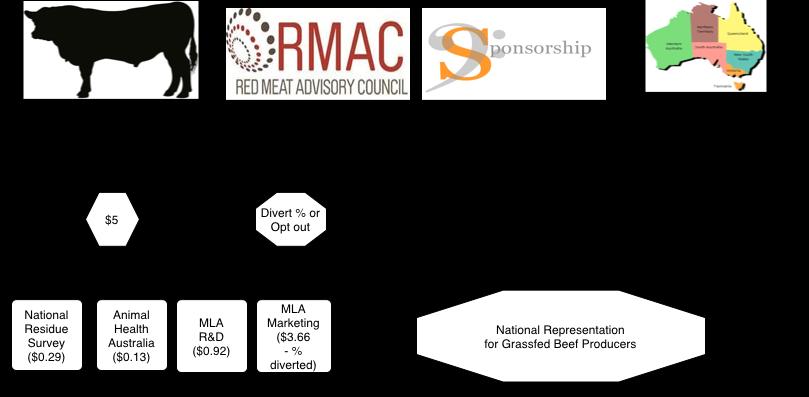 NATIONAL REPRESENTATION OF THE AUSTRALIAN GRASSFED BEEF INDUSTRY EXECUTIVE SUMMARY The Cattle Council of Australia Inc. was formed in 1979; this was a pivotal year for Australian agriculture.