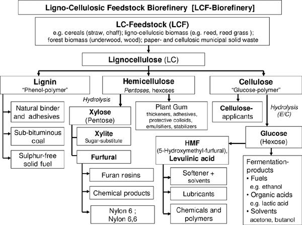 Potential products Lignocellulose Biorefinery Products generated via (Thermo)chemical conversion Bioprocessing Natural monomer structure largely