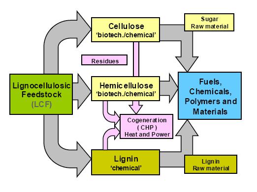 Lignocellulosic Feedstock Biorefinery Abundant low-cost feedstock: wood, straw, corn stover, residues Limited interference with food/feed Multiple products : transportation fuels, chemicals,