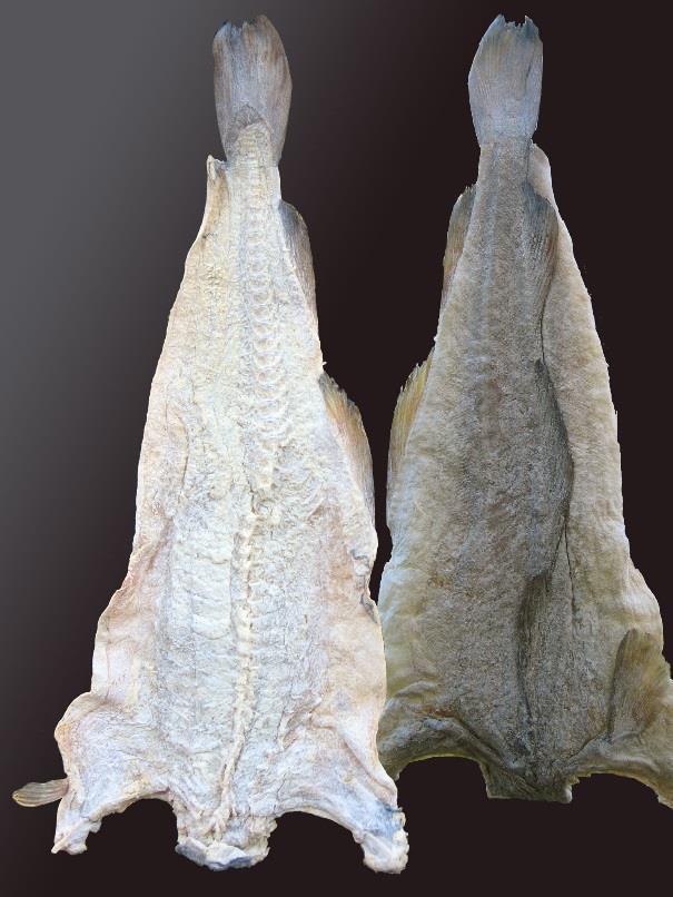 Cod Salted and dried formats are major users of Cod and are remarkably resilient to supply variations Despite many predictions this market is going away there is innovation in packing formats and