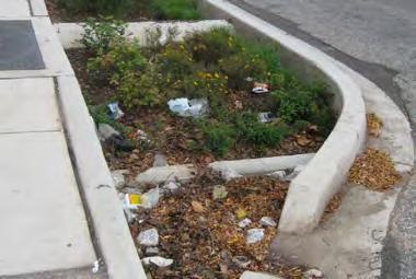 CDA-1: Free of Debris, Trash, Leaf Fall Pass: No evidence of trash, debris or leaf fall.