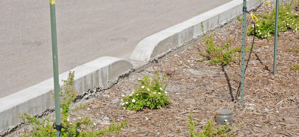 Inlet (I) Description: Inlet (I): the location where the runoff enters the facility such as through a curb cut. Typically found in bioretention, bioswale, and box planter.