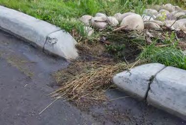 Inlet protection is ineffective, considerable scour has occurred and the design may be insufficient. Re-distribute and top up mulch or soil media.