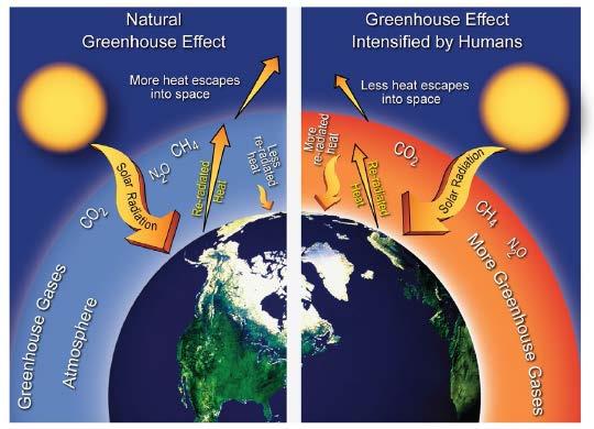 Climate Earth absorbs heat energy from the sun and returns most of this heat to space as terrestrial infrared radiation.