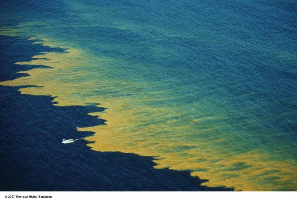 OCEAN POLLUTION Harmful algal blooms (HAB) are caused by explosive