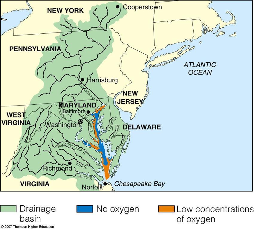Case Study: The Chesapeake Bay An Estuary in Trouble Pollutants from six states contaminate the