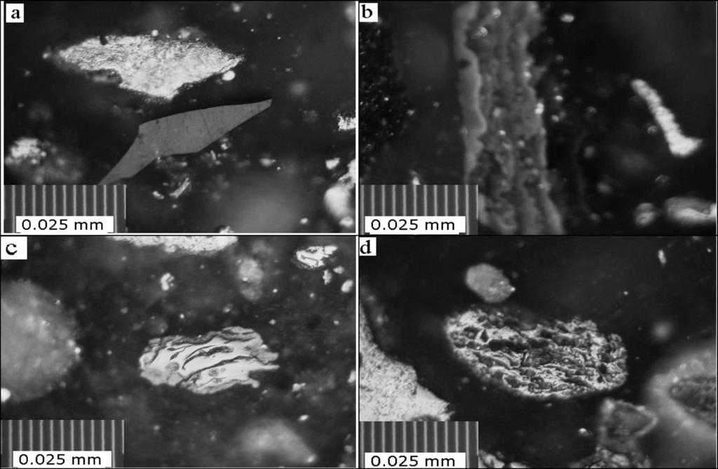 Fig. 1. Microstructure of the unconsumed pulverized coal in BF dust. 2.