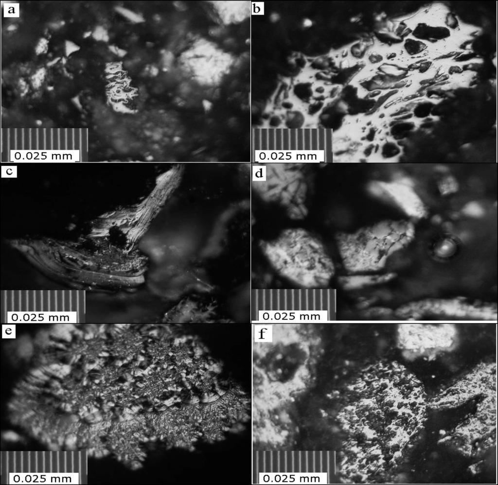 ISIJ International, Vol. 50 (2010), No. 3 Fig. 2. Microstructure of unconsumed fine coke in BF dust. Table 1. The percentage of area occupied components of microstructure in BF dust %.