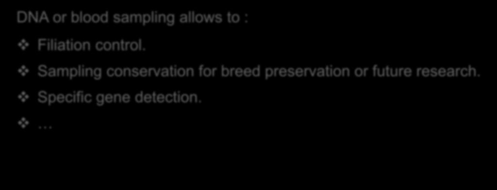 Sampling conservation for breed