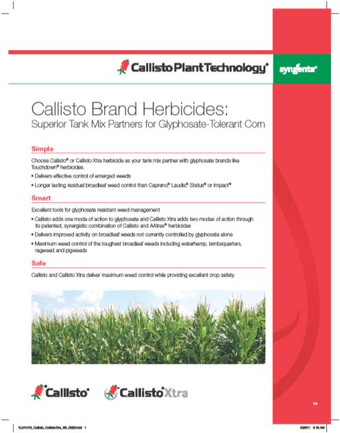 Key Support Materials Callisto Plant Technology -