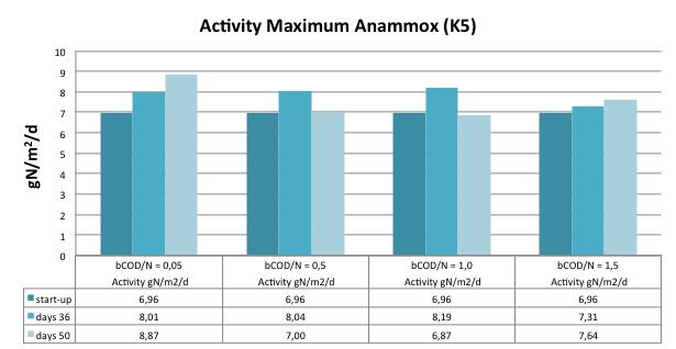 Bench-scale trial IFAS different C/N ratio Maximum anammox activity in batch trials Settler Reactor Similar