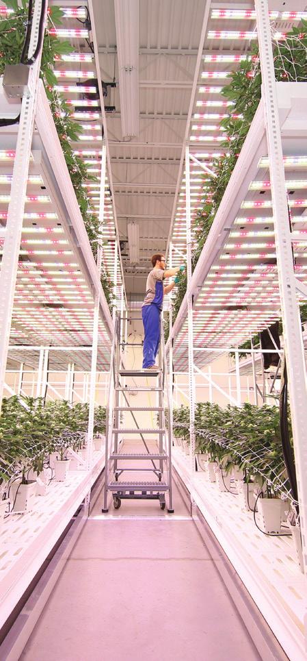 The future of cannabis cultivation is maximizing space and efficiency with mobile vertical cultivation racks. We take you there by taking you up.
