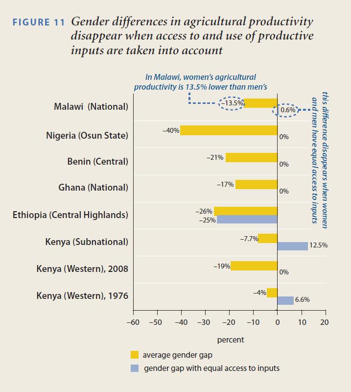 WHY? However, the gender productivity gap for female and male farmers disappear altogether when