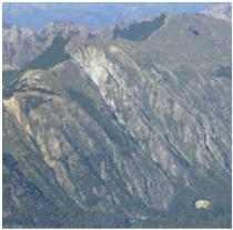 Protection Forests and Avalanche modelling Chile