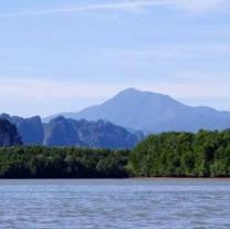 surges and Mangrove Restoration Thailand Mangrove