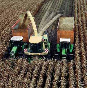 Forage system Coupled harvest and hauling Expensive drying, or use