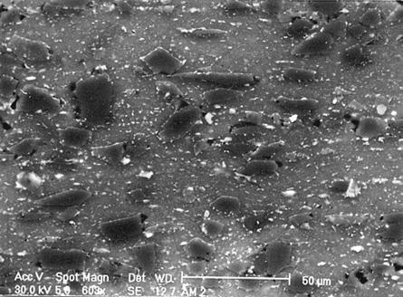 This SEM micrograph indicates that the amount of intermetallics did not change much in relation to the solution heat-treated material.
