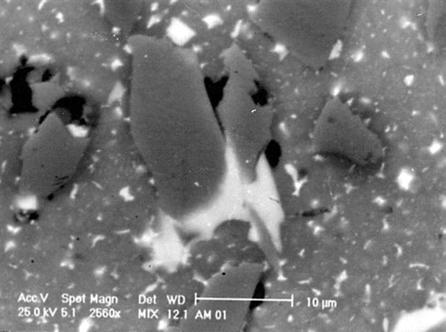 Probably, these intermetallics are insoluble phases in Al alloy or intermetallics that were not dissolved in the solution heat-treated material.