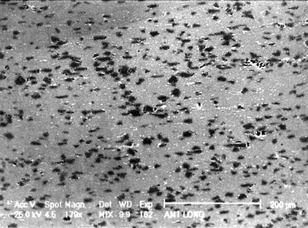 256 Advanced Powder Technology IV a) b) Fig. 4. SEM micrograph of the overaged composite material (150 C for 10 h).