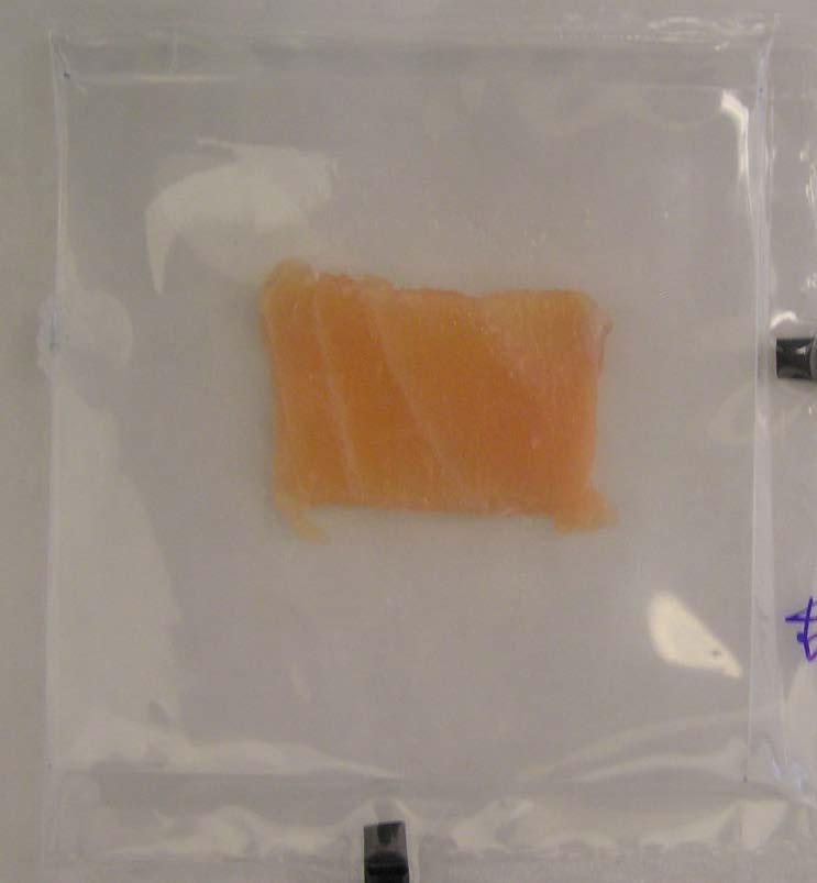 Plasma effect on sensory properties of salmon Sensory properties: color, texture Samples: sliced cold-smoked salmon packed in plastic bags Treatment variables: applied voltage (V pp ), frequency, gas