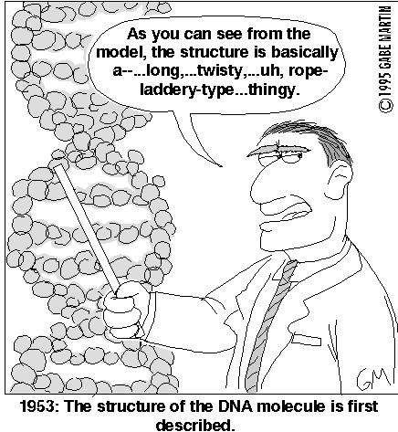 Structure RNA Synthesis