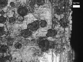cross-sectional view of a corrosion pit in an unnotched SP and LPB specimen.