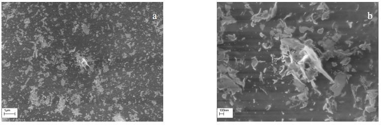 Figure 4 SEM images of surfaces of PET-25-N2-HS at (a) low and (b) high