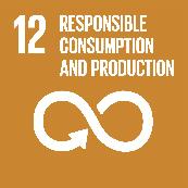SDG 12: Ensure sustainable consumption and production patterns SDG target SDG indicator SDG-related indicator (TBC) 12.