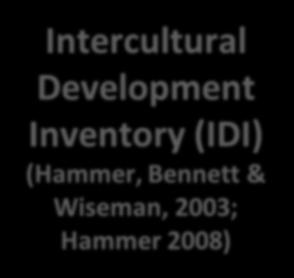 Intercultural Sensitivity (DMIS) (Bennett,